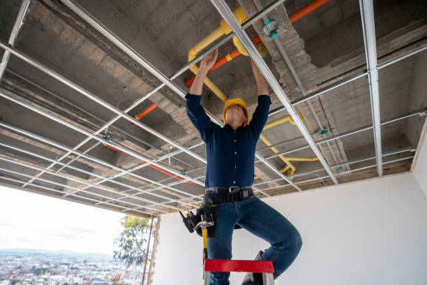 Best Plumbing Services Near Me  in Morris, AL